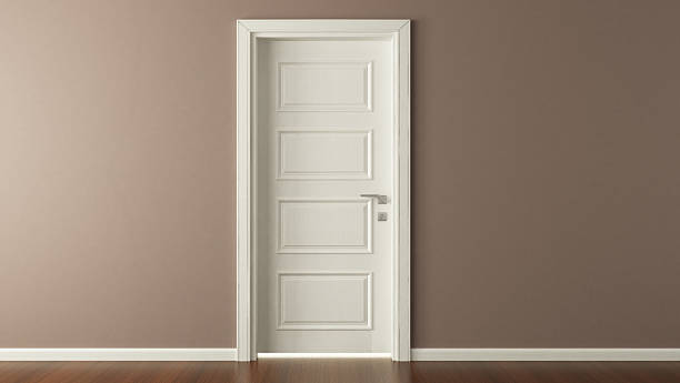 american panel door 3d render design